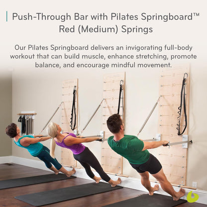 Pilates Springboard with Push-Through Bar, Wall Mounted Pilates Workout Equipment for Home Gym or Studio Use, Pilates Exercise Equipment with Resistance Springs